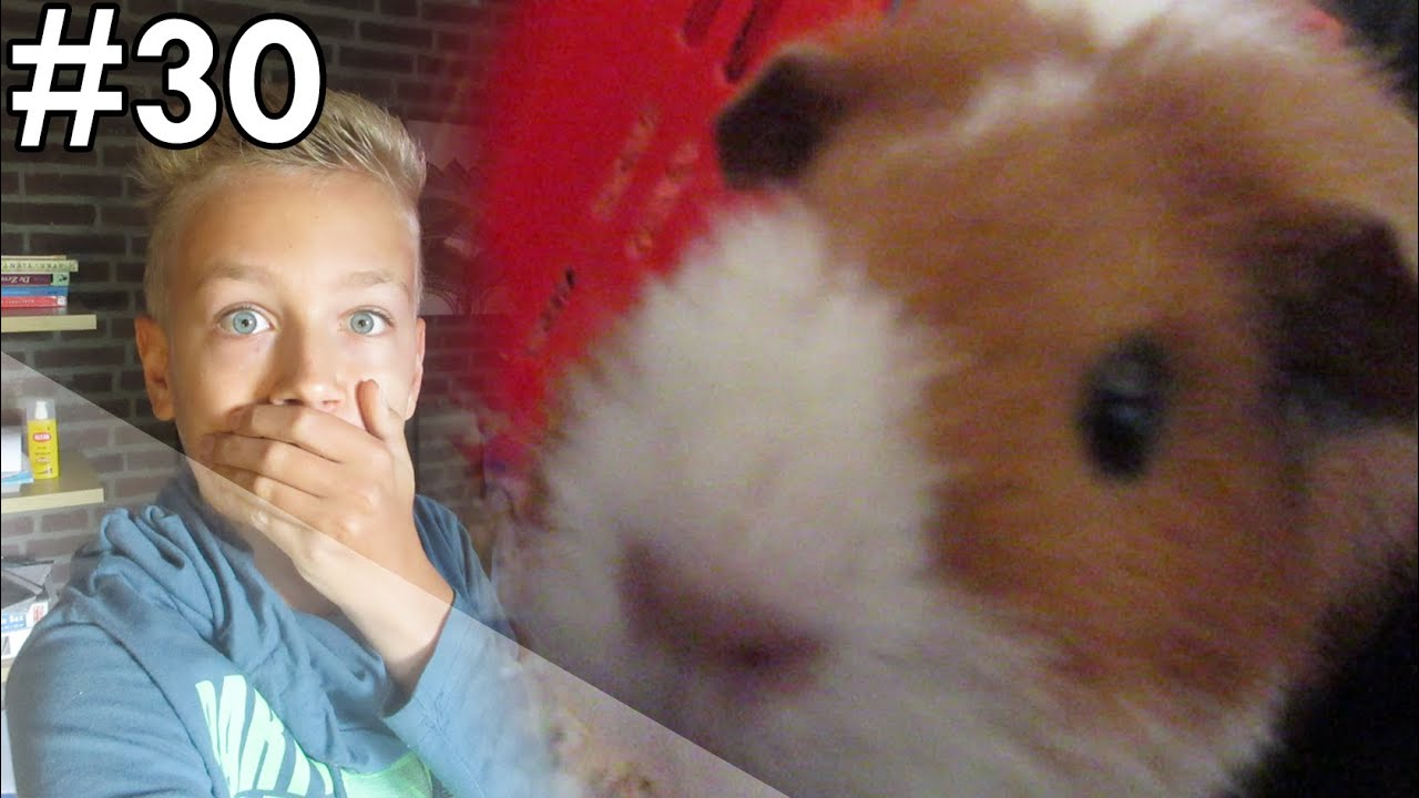 CAVIA BIJT IN CAMERA! - Ties Vlog #30