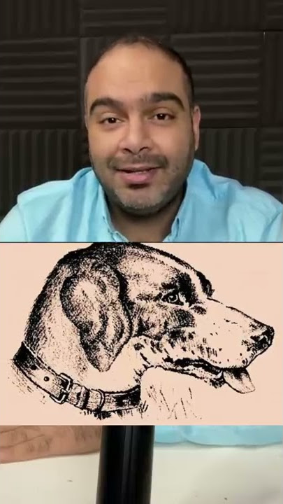 The strangest picture in the world