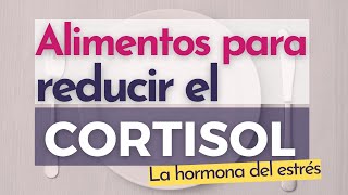 Alimentos para la Ansiedad y el Estrés