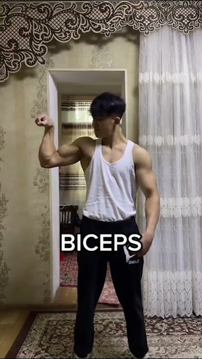 Bitseps (Biceps)