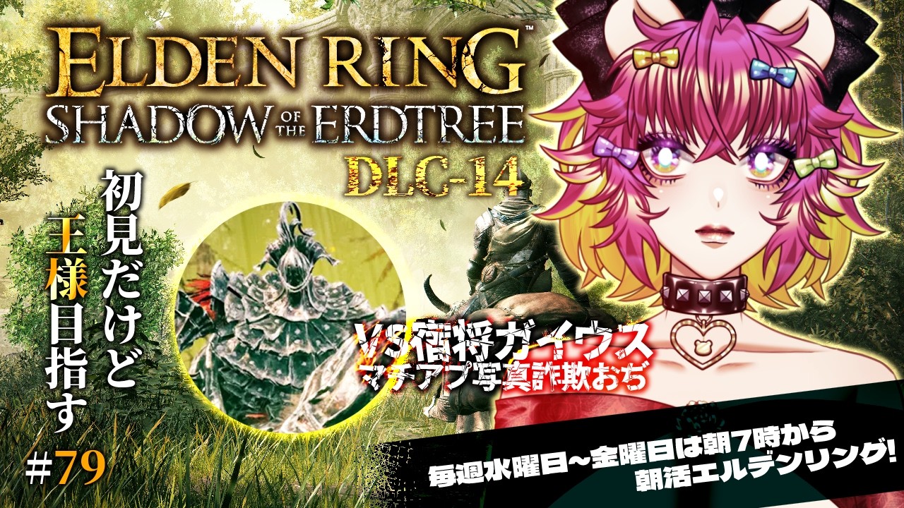 ELDEN RING Shadow of the Erdtree 初見初心者プレイ‼️🐻メスメルと待ち合わせしてたら知らんおぢがいる😑|エルデンリング|朝活☀️ #79 DLC-14