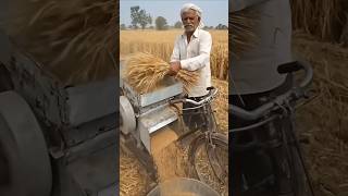 Village Grandfather Threshing Wheat with Bicycle Machine | Real Harvest Time
