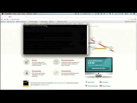 Mini Tutorial - Git Basics