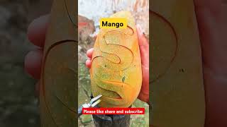 Ripe mango #fruit #mango #farming