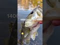 #audio #fishing #bassfishing #shorts #trending