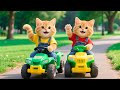 おもちゃがなくて友だちに笑われたショウガ子猫──お母さん猫が自分の手で超かわいい木の車を作ってくれた！