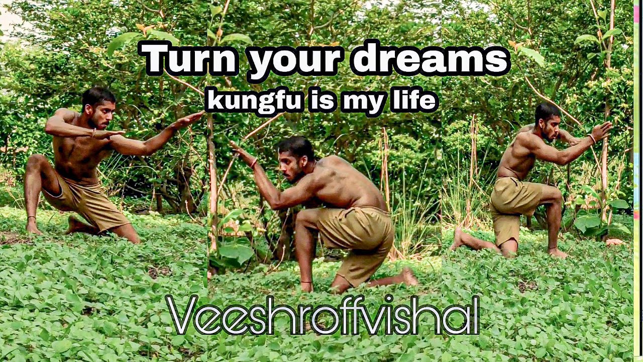 kungfu is my life🇮🇳Veeshroffvishal_🔥🐉🔥Sab Kuch Aasan ho jayega_