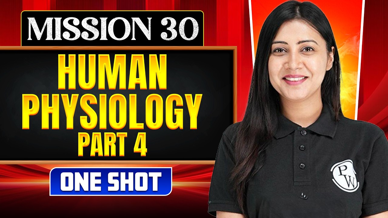 HUMAN PHYSIOLOGY 4 in ONE SHOT || All Concepts, Tricks & PYQ || NEET ...