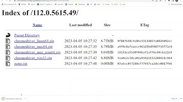 Controlling Chrome with Selenium and VBA