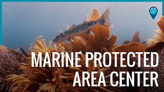 Marine Protected Area Center 20th Anniversary
For 20 years, NOAA’s National Marine Protected Area Center (MPA Center) has served as a catalyst for conservation partnerships to protect the ocean’s most important places. Marine Protected Area Center 20th Anniversary