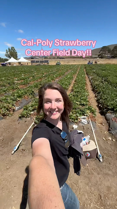California Strawberry Field Day!! ​⁠@castrawberries