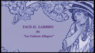 Video thumbnail of "Franz Lehar " Tace il Labbro " da La Vedova Allegra   cello e piano"