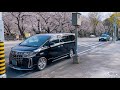 オレのアルファードと桜と名古屋城 Part1