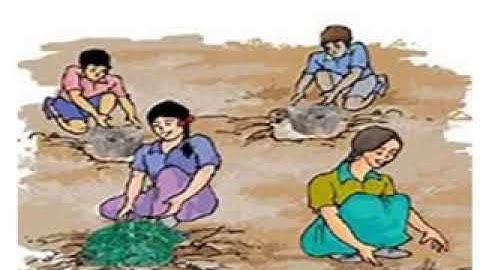 class 6 science NCERT Chapter 16 Garbage in, Garbage out