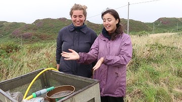 Wet Sieving.   How we do it - at Dunyvaig fieldschool