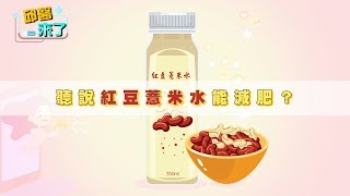 【邱醫來了】聽說紅豆薏米水能減肥？？答案在這裡！ 