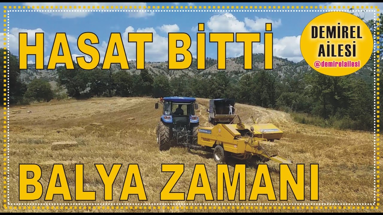 Hasat Bitti Balya Zamanı Amasya Taşova Mercimek Köyü (İstanbul dan Köye Göç Ettik) DEMİREL AİLESİ
