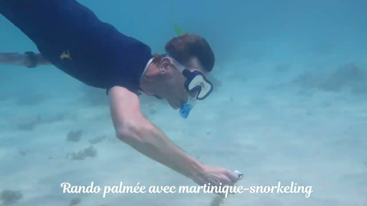 Les Aquanautes,  rando palmée avec martinique-snorkeling
