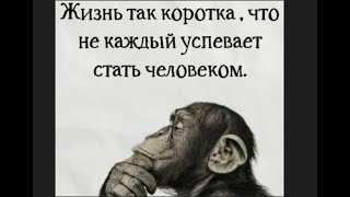 видео: GS6600 Что творится на сайтах.... картинка: GS6600 Что творится на сайтах....