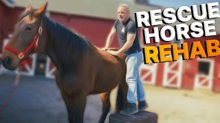 🐴 Rescue Horse 