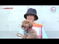 Evacuating with petsーNHK WORLD-JAPAN NEWS