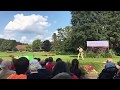 Falkenjagd in Slowmotion