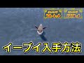 【スカーレットバイオレット】序盤でイーブイ入手方法＆出現場所を解説！
