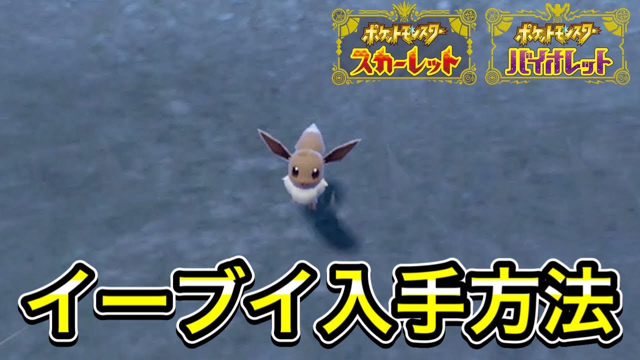 ポケットモンスター スカーレット バイオレット ソード イーブイ イーブイ】出現場所 入手方法 攻略【ポケモン スカーレット