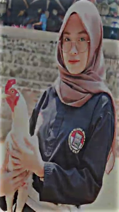 story WA PSHT  Srikandi