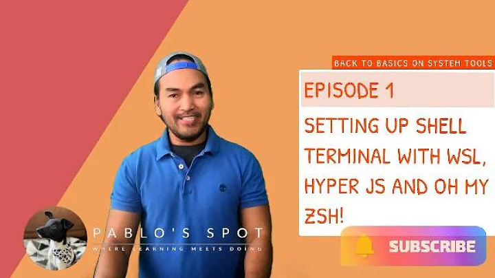 System Tools - Setting up Linux Shell on Windows with WSL, HyperJS and OhMyZsh