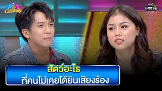 สัตว์อะไร ที่คนไม่เคยได้ยินเสียงร้อง | Highlight Ep.794 | 4 ต่อ 4 Celebrity  | 18 มิ.ย. 66 | one31 screenshot 3