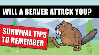 Beaver Attack - 3 Top Tips To Prevent You Or Your Dog from Getting Hurt