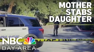 Woman recalls moments after mother allegedly stabs daughter in Martinez