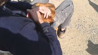 20150316 165435  KODAK 2
