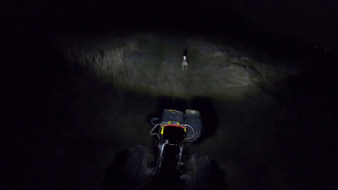 Фары ночью видео