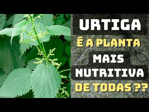 Vídeo: Alimentação para plantas de folhas de urtiga - Aprenda sobre nutrientes no fertilizante de urtiga