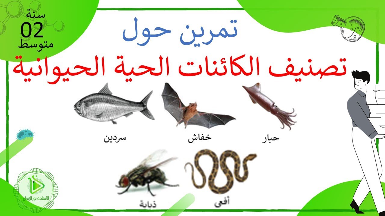 تمرين حول تصنيف بعض الكائنات الحية الحيوانية علوم طبيعية سنة 02 متوسط
