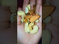 #youtubeshorts #video #halthy dry food 💪💪💪