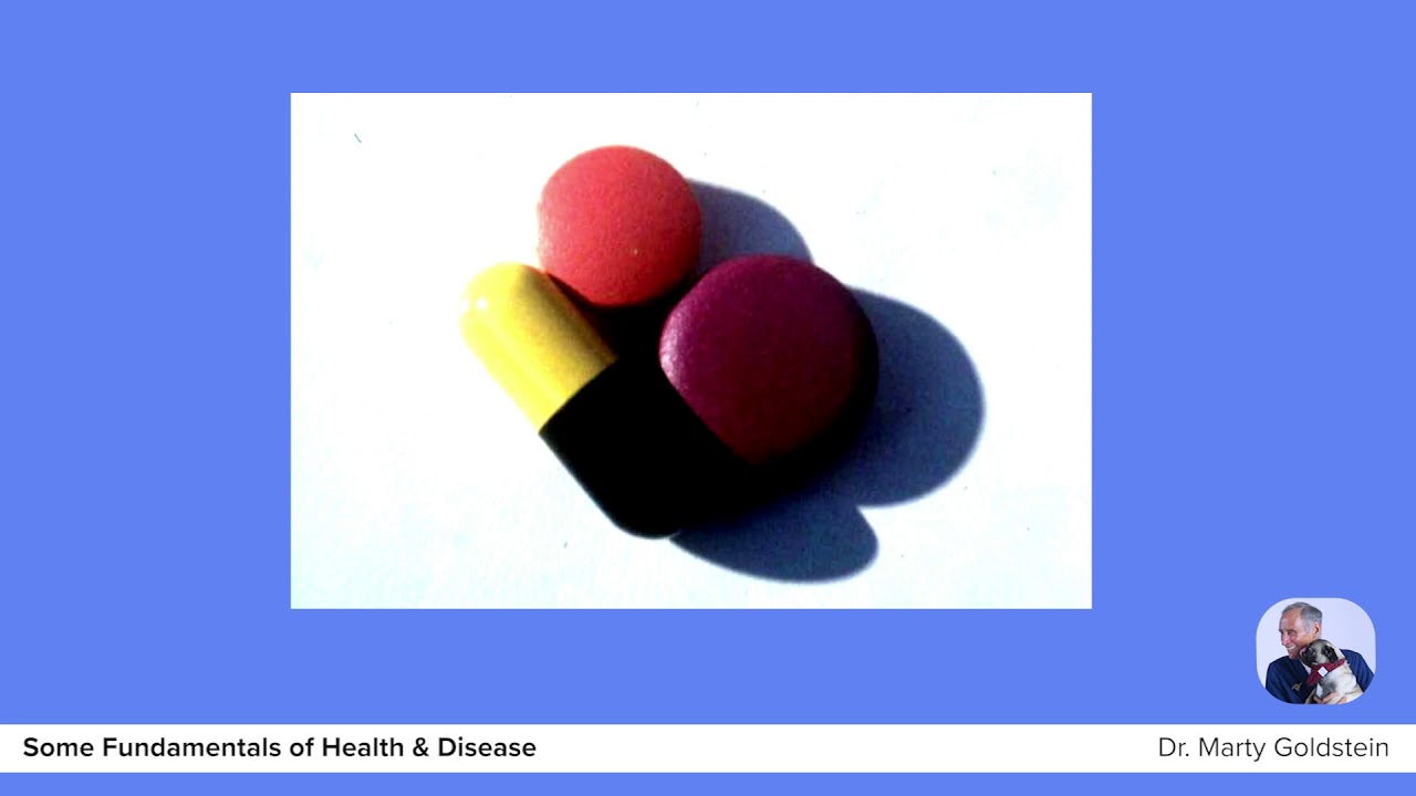 Dr Marty Some Fundamentals of Health and Disease Marty Goldstein August 2019 YouTube