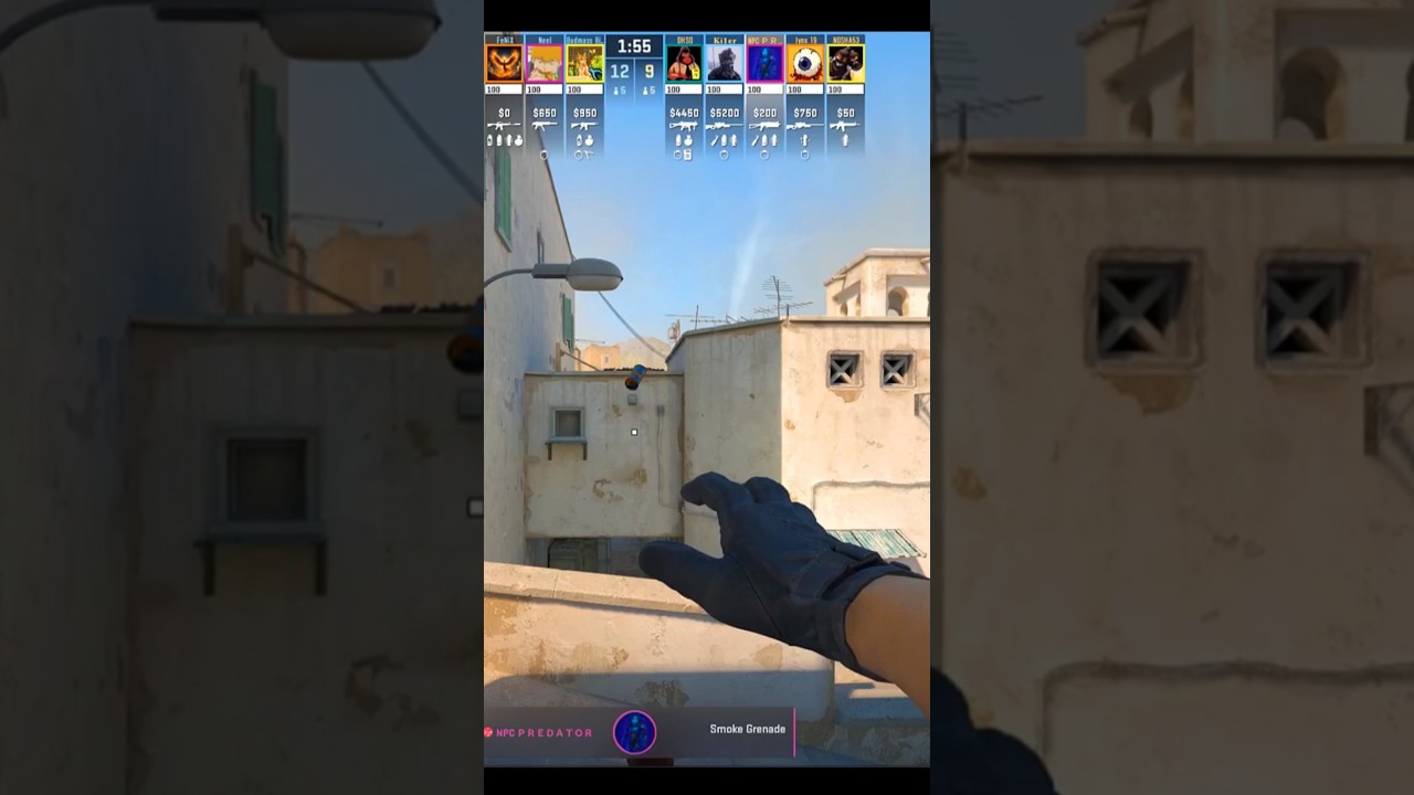 ACE with Bizon (Bizon Week)     