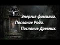 "Энергия фамилии. Послание Рода. Послание Древних."  Расклад на Таро.