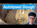 How to autolyse dough  the complete guide