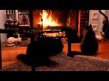 7 Cats Watching the Fireplace