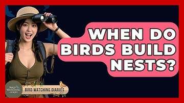 When Do Birds Build Nests? - Bird Watching Diaries