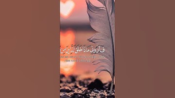 قران الكريم _ هذا خلق الله فأروني ماذا خلق الذين من دونه