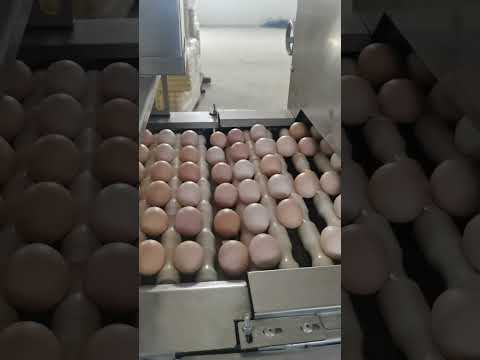 LA GRANJA AUTOMATIZADA