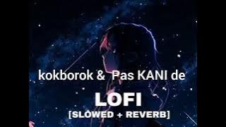 Pas KANI de kaubru Songs ( Slowed & Reverb ) 🎵