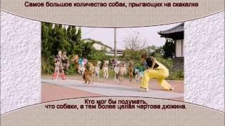 Самое большое количество собак, прыгающих на скакалке Самое большое количество собак, прыгающих на скакалке