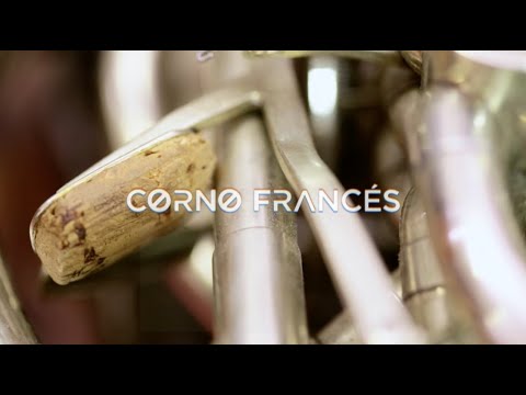 Resonancias, la armonía del sonido: Corno francés
