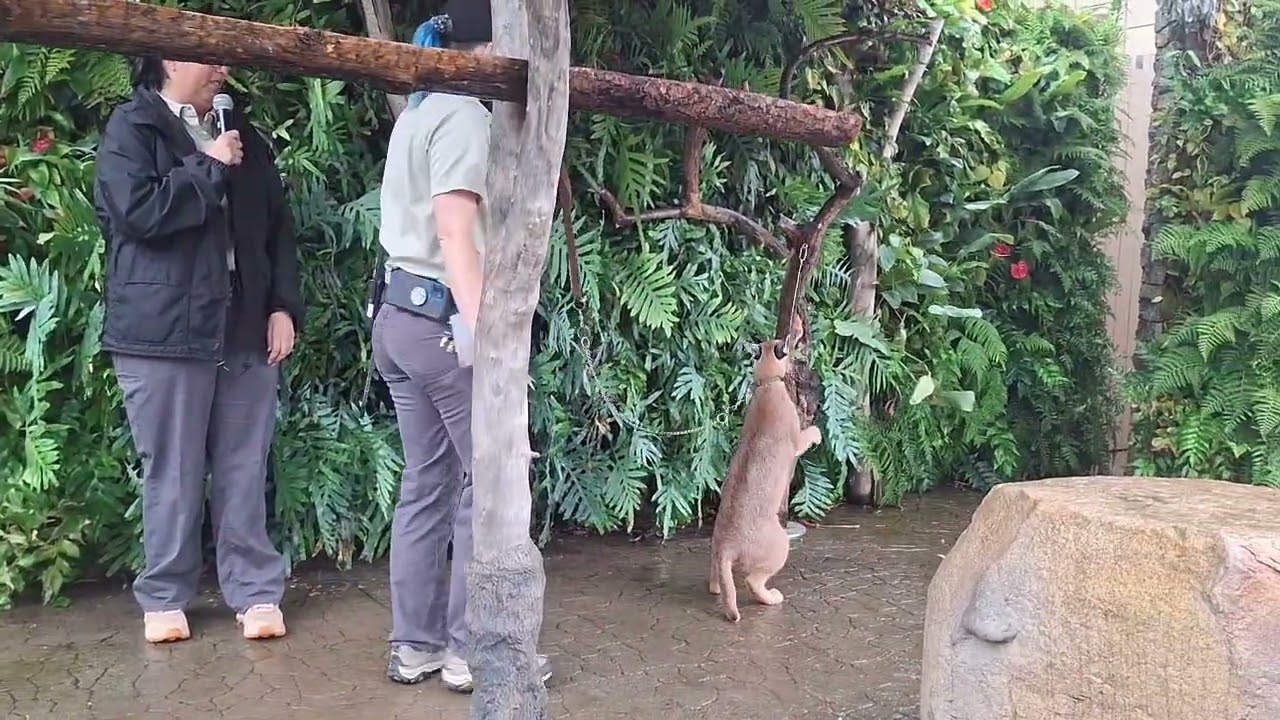 Annika in the rain!! 2/11/26